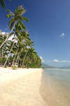 Amanda Resort 